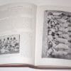 The Living Races Of Mankind Hutchinson Gregory Lydekker ca.1920