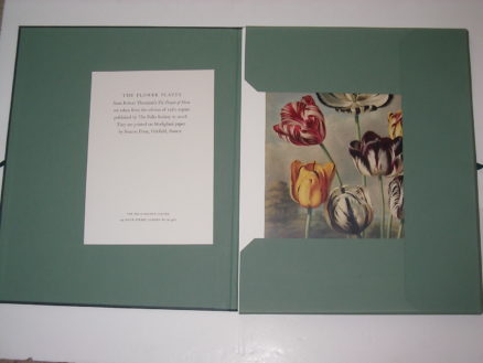The Temple of Flora A Portfolio of 29 Plates Folio Society 2011 - Image 2