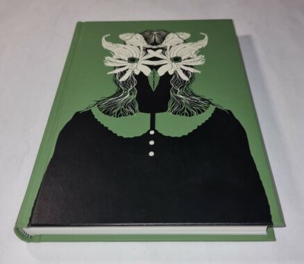 The Owl Service Alan Garner Folio Society 2013 - Image 2