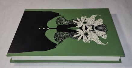 The Owl Service Alan Garner Folio Society 2013 - Image 3