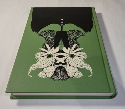 The Owl Service Alan Garner Folio Society 2013 - Image 4