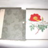 RHS The Rose Brent Elliott Andre Deutsch 2016 - Image 2