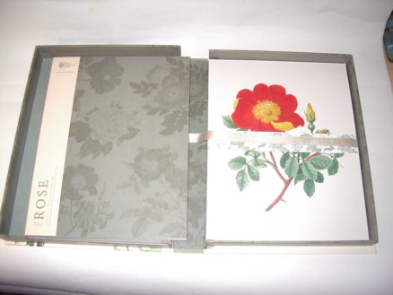 RHS The Rose Brent Elliott Andre Deutsch 2016 - Image 2