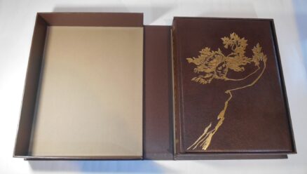 Metamorphoses Ovid Folio Society Limited Edition 2008 - Image 2
