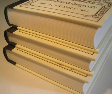 The Adventures of the Treasure Seekers E Nesbit Folio Society 2009 - Image 3