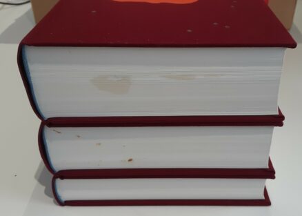The Farseer Trilogy Robin Hobb Folio Society 2020 - Image 7