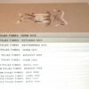 South Polar Times Ann Savours Limited Edition Folio Society 2012 - Image 8