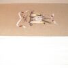 South Polar Times Ann Savours Limited Edition Folio Society 2012 - Image 10